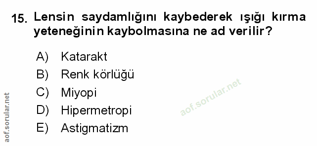 Soru 15