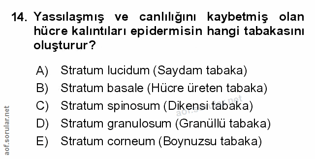Soru 14