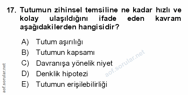 Soru 17