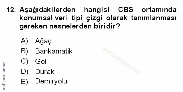 Soru 12