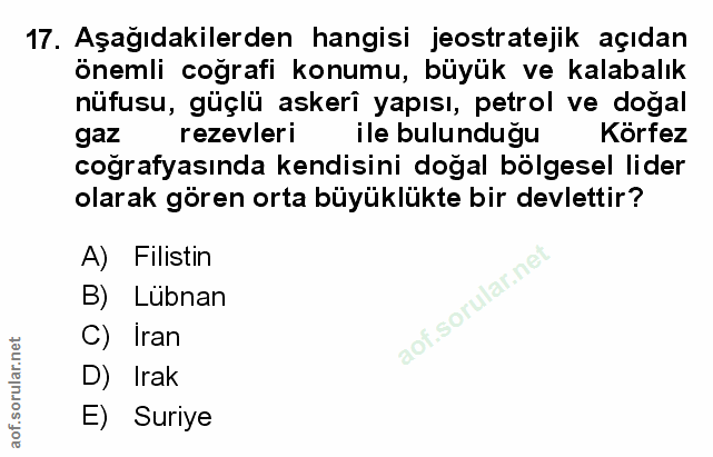 Soru 17
