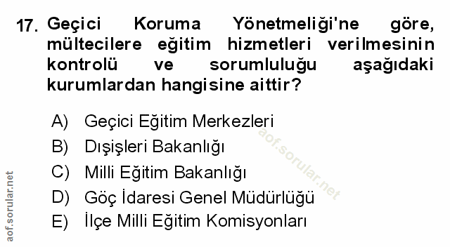 Soru 17