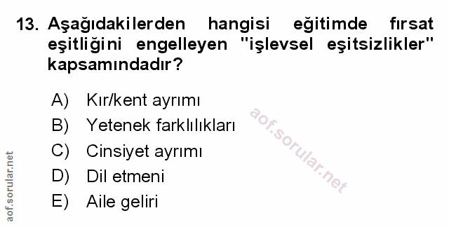 Soru 13