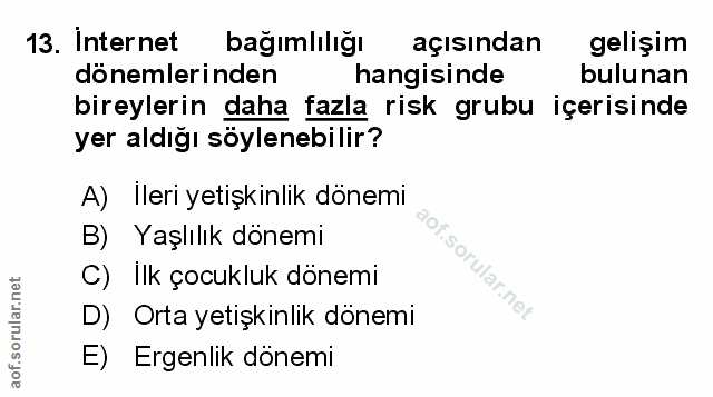 Soru 13