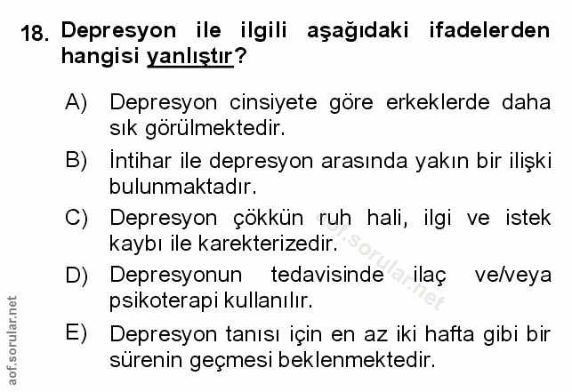 Soru 18