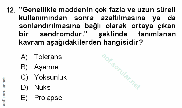 Soru 12