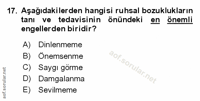 Soru 17