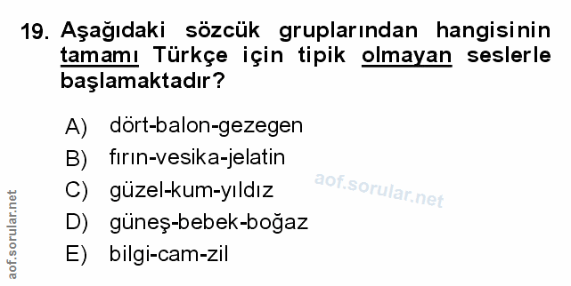 Soru 19
