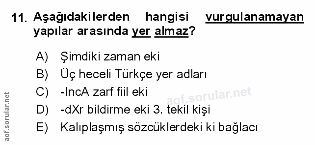 Soru 11