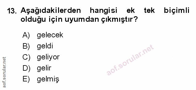Soru 13