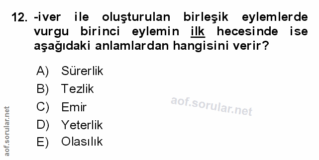 Soru 12