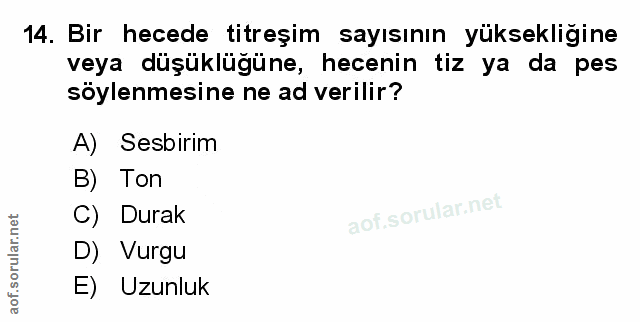Soru 14