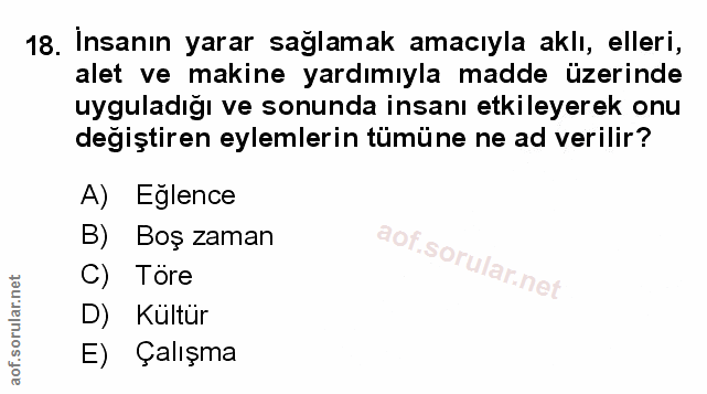 Soru 18