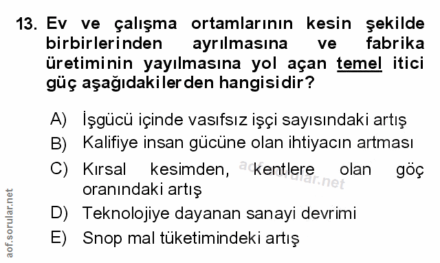 Soru 13