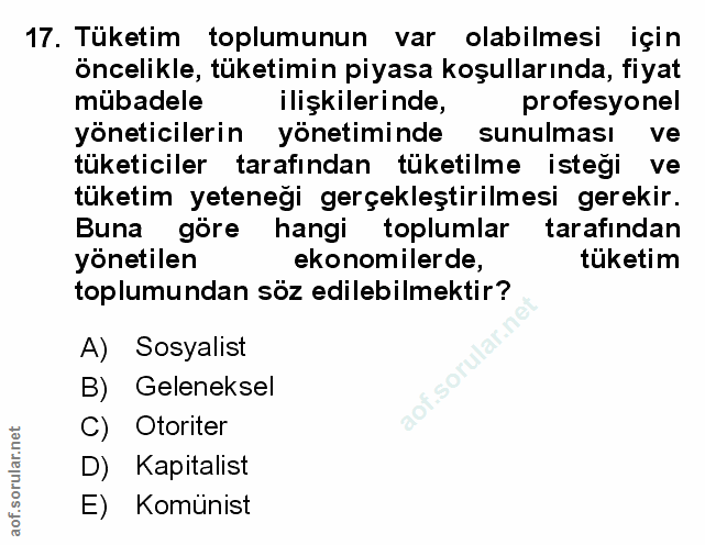 Soru 17