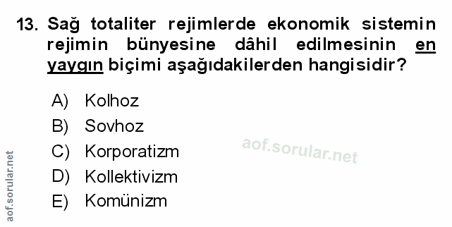 Soru 13
