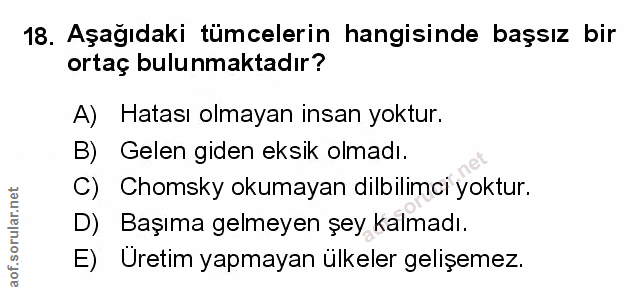 Soru 18