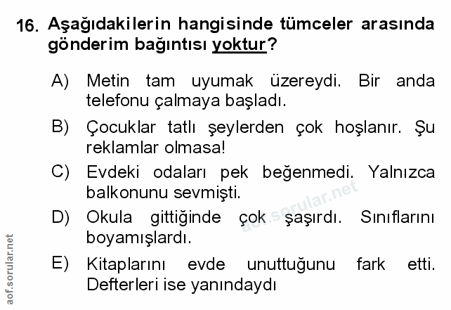 Soru 16