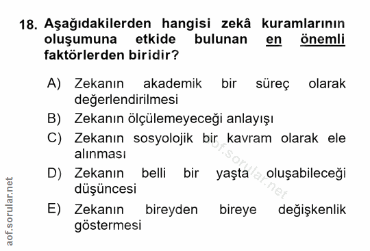 Soru 18