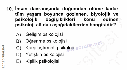 Soru 10