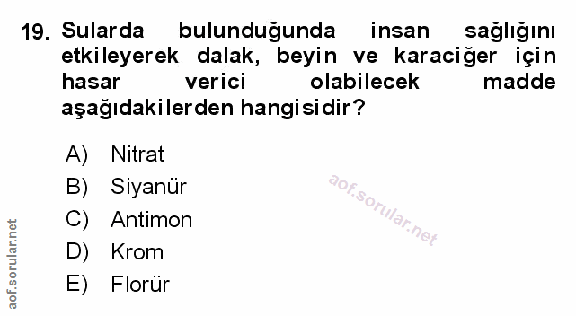 Soru 19
