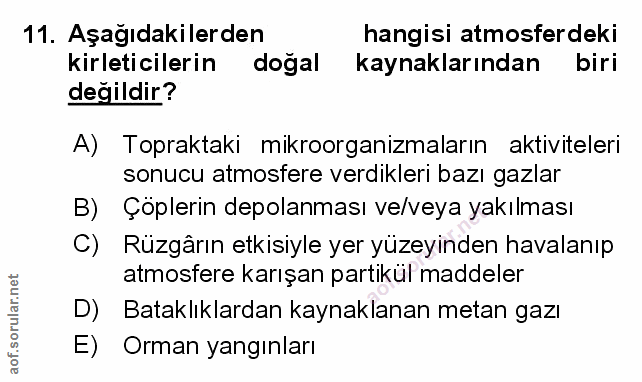 Soru 11
