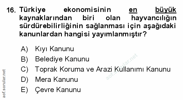 Soru 16