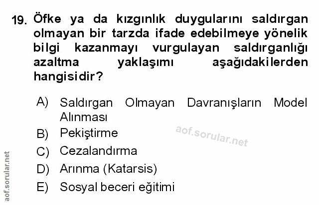 Soru 19