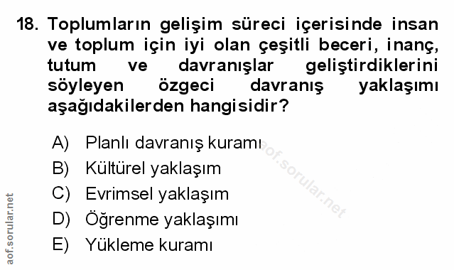 Soru 18