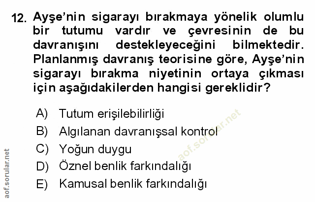 Soru 12