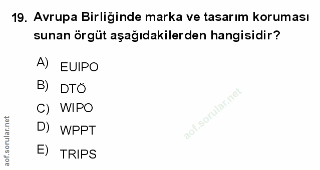 Soru 19