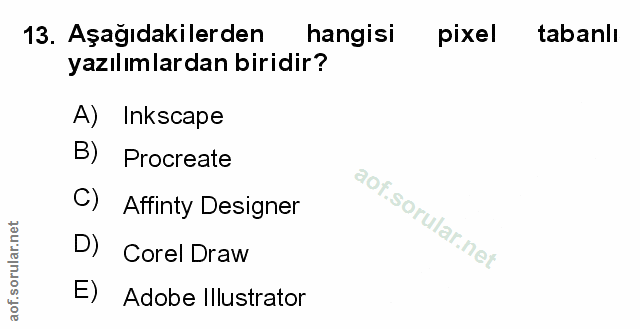 Soru 13