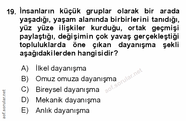 Soru 19