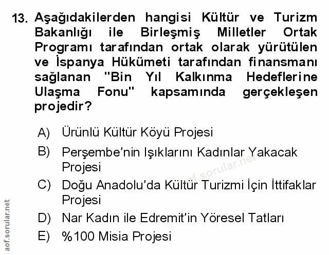 Soru 13