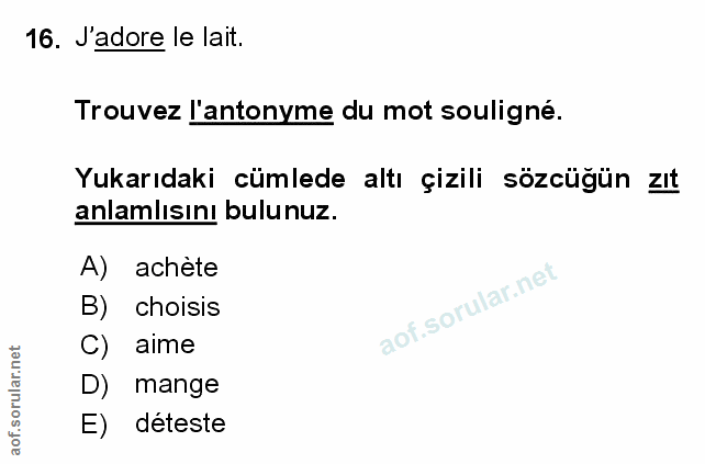 Soru 16