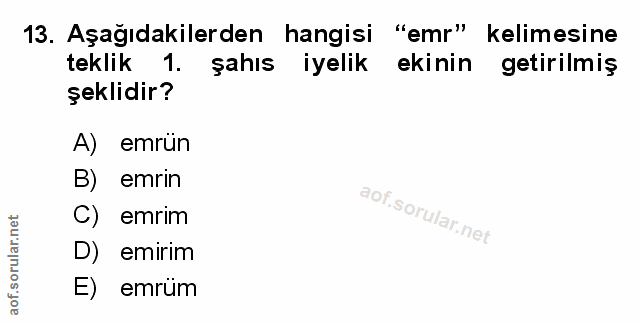 Soru 13