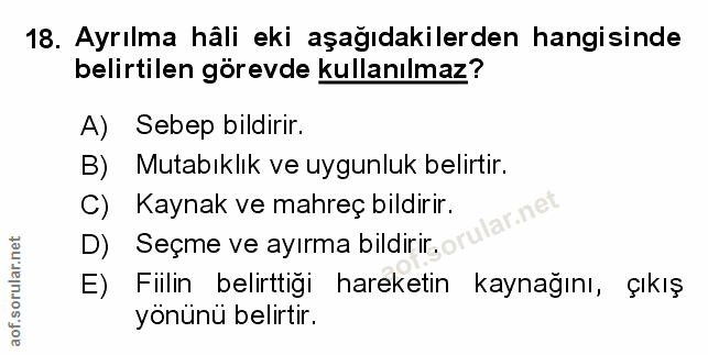 Soru 18