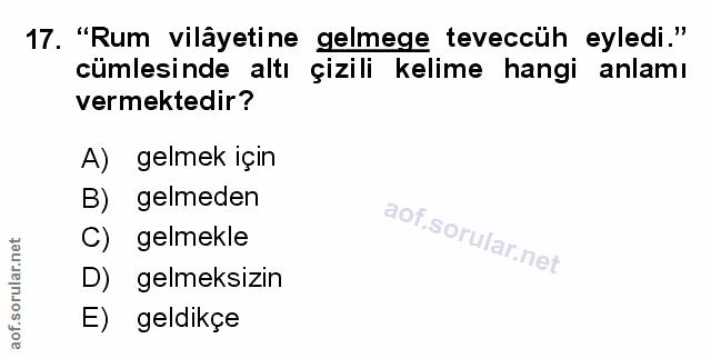 Soru 17