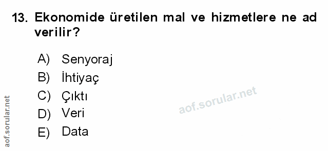Soru 13