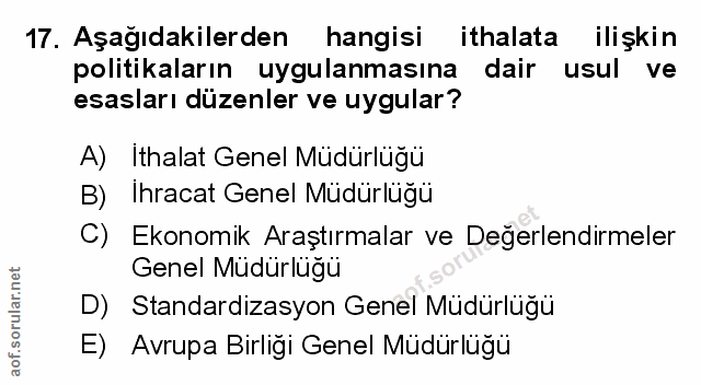 Soru 17