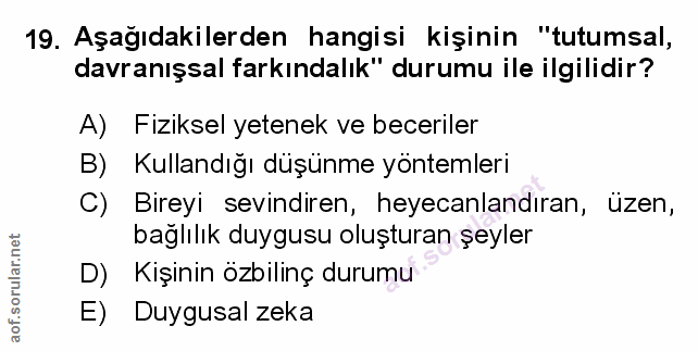 Soru 19