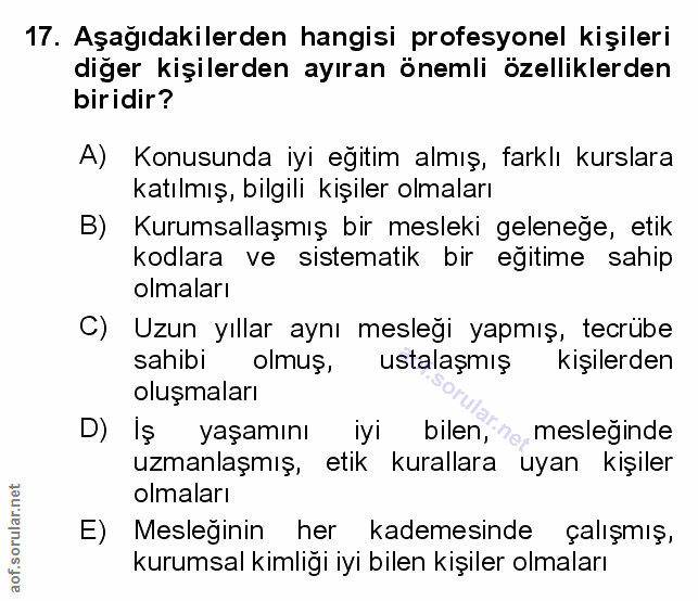 Soru 17