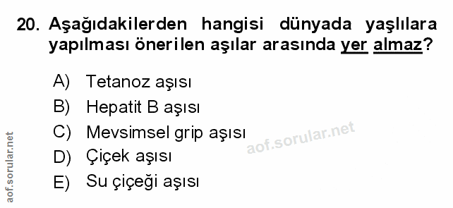 Soru 20
