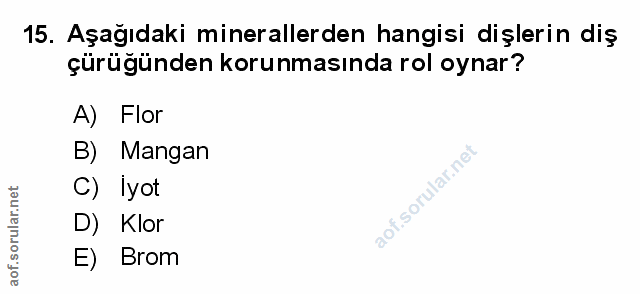 Soru 15
