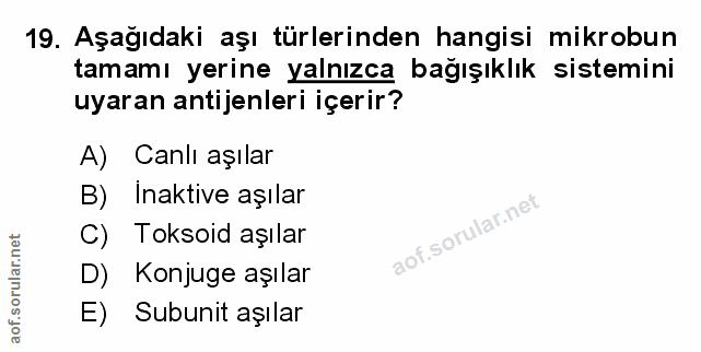 Soru 19