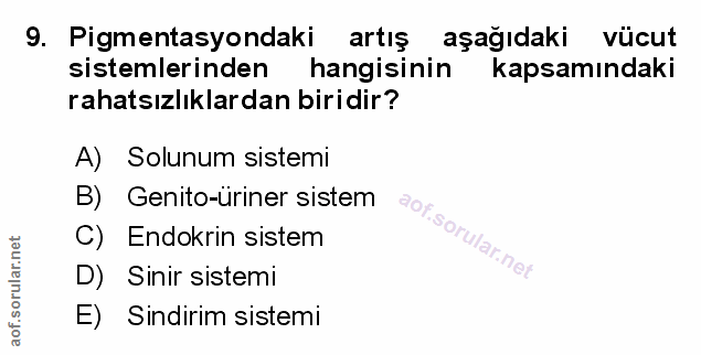 Soru 9