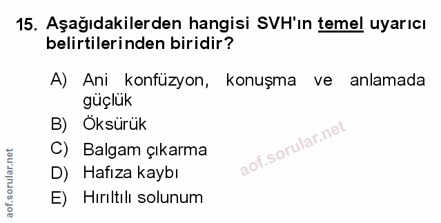 Soru 15