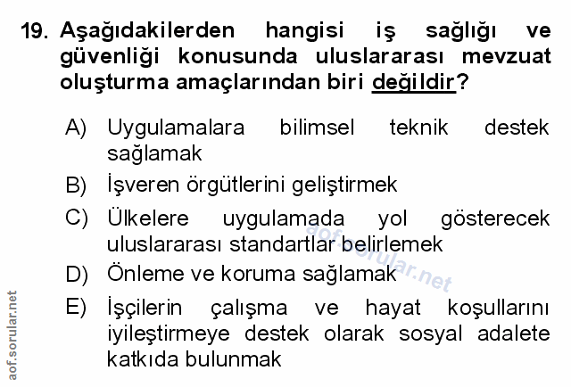 Soru 19