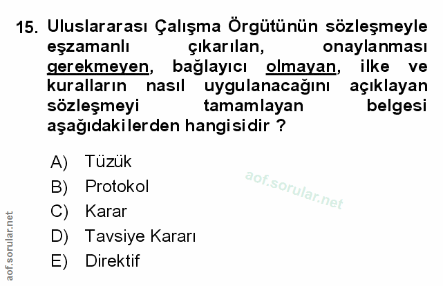 Soru 15