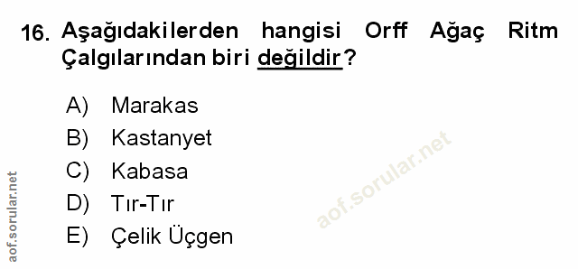 Soru 16